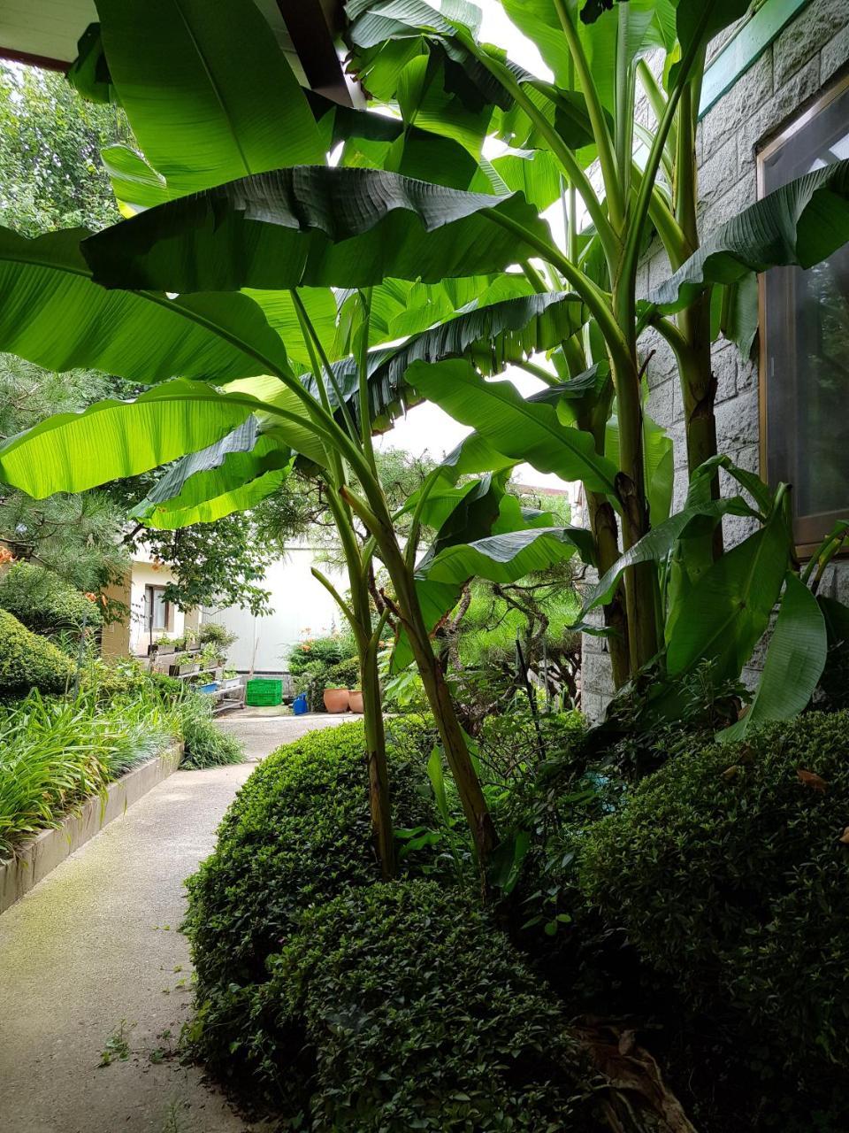 Jnw Minbak Hotel Damyang Exterior photo